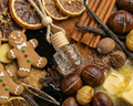 Gingerbread House Car Diffuser