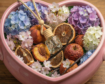 Sexy Girl Car Diffuser